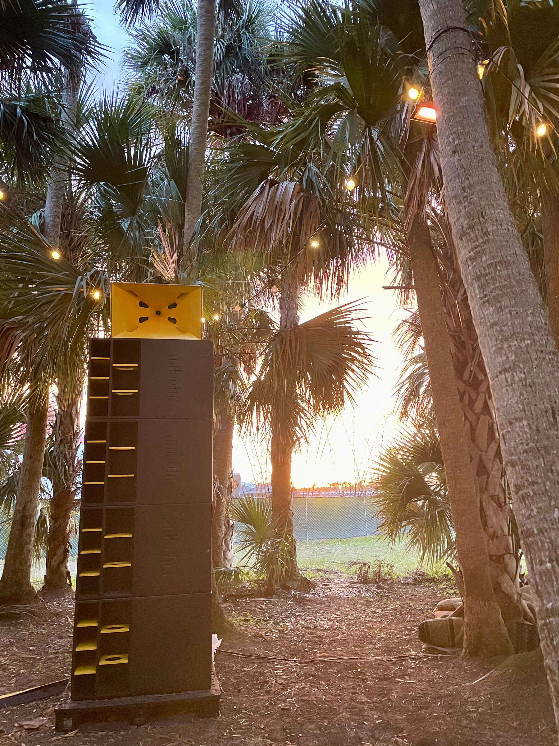 Sound Decisions system at sunset among the palms
